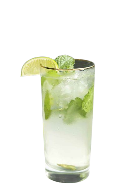 VIRGIN MOJITO