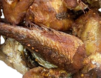 CROAKER FISH
